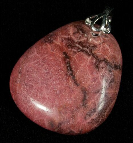 Red Fossil Coral Pendant - Million Years Old #5588